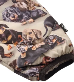 Termotøj|Molo Skibukser - Percy - Dashshund Soft