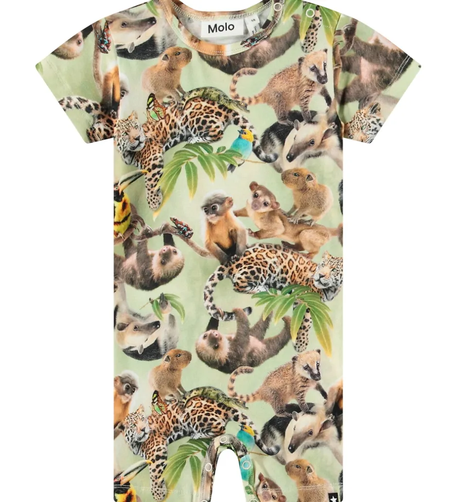 Sommerdragter|Molo Sommerdragt - Finn - Jungle Cubs