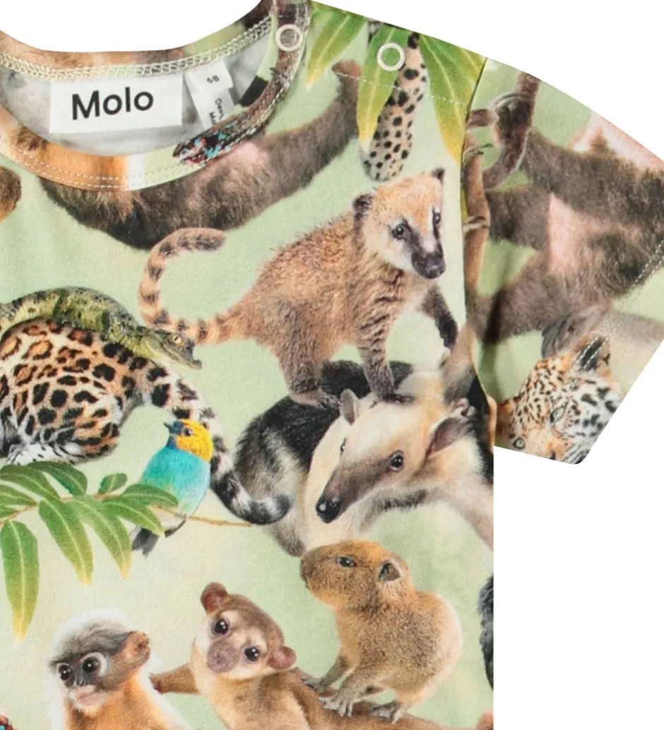 Sommerdragter|Molo Sommerdragt - Finn - Jungle Cubs