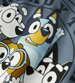 Drengetøj|Sweatshirts|Name It Sweatshirt - NmmNimbu - Bluey - Flint Stone