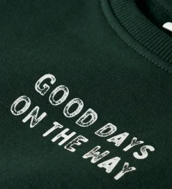 Drengetøj|Bluser|Name It Sweatshirt - NmmSlade - Pine Grove