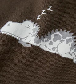 Sweatshirts|Name It Sweatshirt - NmmVildar - Delicioso/Sleeping