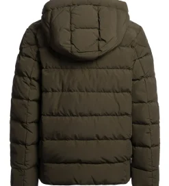 Overgangsjakker|Dunjakker Og Dynejakker|Parajumpers Dunjakke - Cassian - Deep Moss