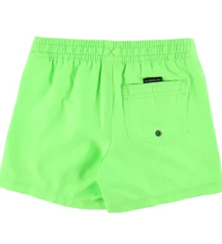 Badetøj|Quiksilver Badeshorts - Everyday - Green Gecko