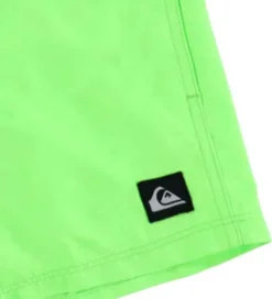 Badetøj|Quiksilver Badeshorts - Everyday - Green Gecko