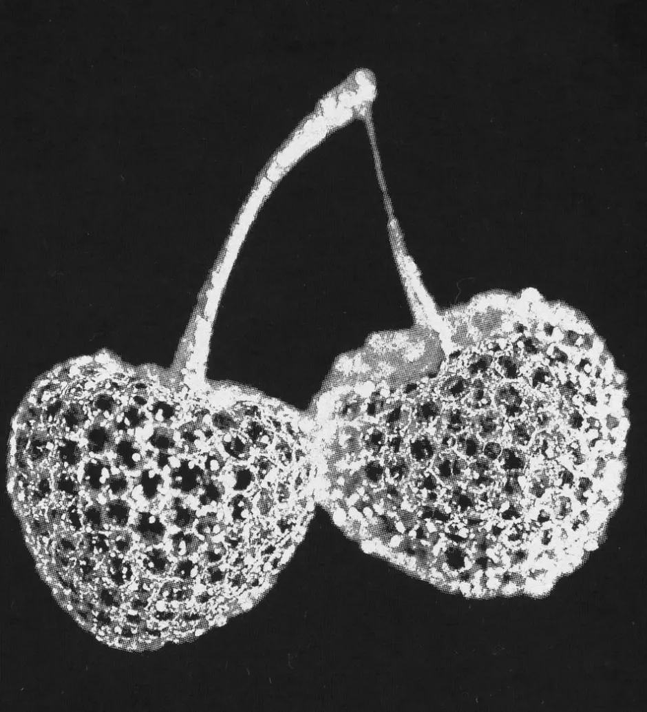 Bluser|Sofie Schnoor Bluse - Ramitask Black